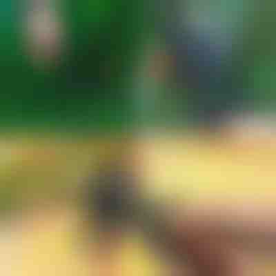 Professzionális 2 az 1-ben metsző- és oltóolló | MASTERCUT